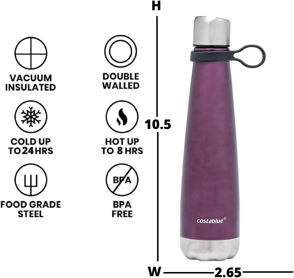 Insulated Water Bottle - On-The-Go Refillable Stainless Steel Water Bottles For Adults, Reusable Thermos Travel Tumbler With Leak-proof Lid For Hot & Cold Beverages (17Oz. Purple)