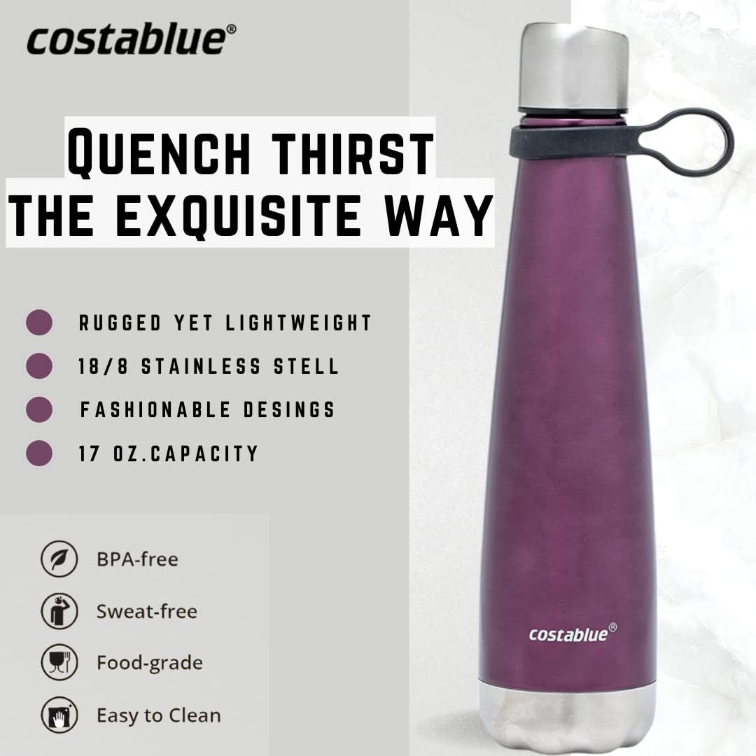 Insulated Water Bottle - On-The-Go Refillable Stainless Steel Water Bottles For Adults, Reusable Thermos Travel Tumbler With Leak-proof Lid For Hot & Cold Beverages (17Oz. Purple)