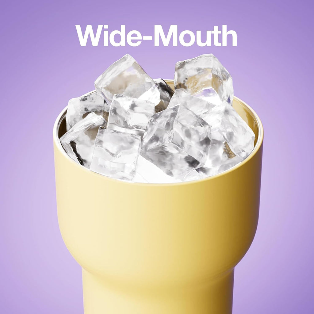 CHAKO LAB Insulated Stainless Steel Water Bottle | Dual-layer tumbler with Glass Linner and Stainsteel Linner | BPA-Free Leak Proof Thermos | 20oz Bottle with Two Straw | Yellow & Purple