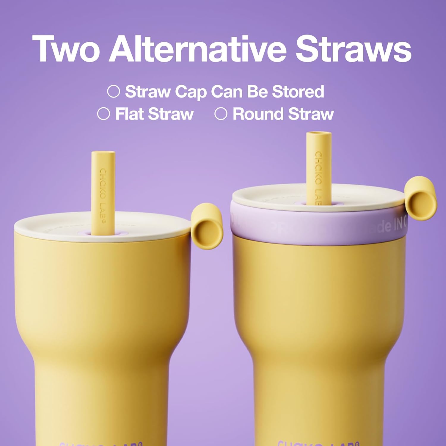 CHAKO LAB Insulated Stainless Steel Water Bottle | Dual-layer tumbler with Glass Linner and Stainsteel Linner | BPA-Free Leak Proof Thermos | 20oz Bottle with Two Straw | Yellow & Purple